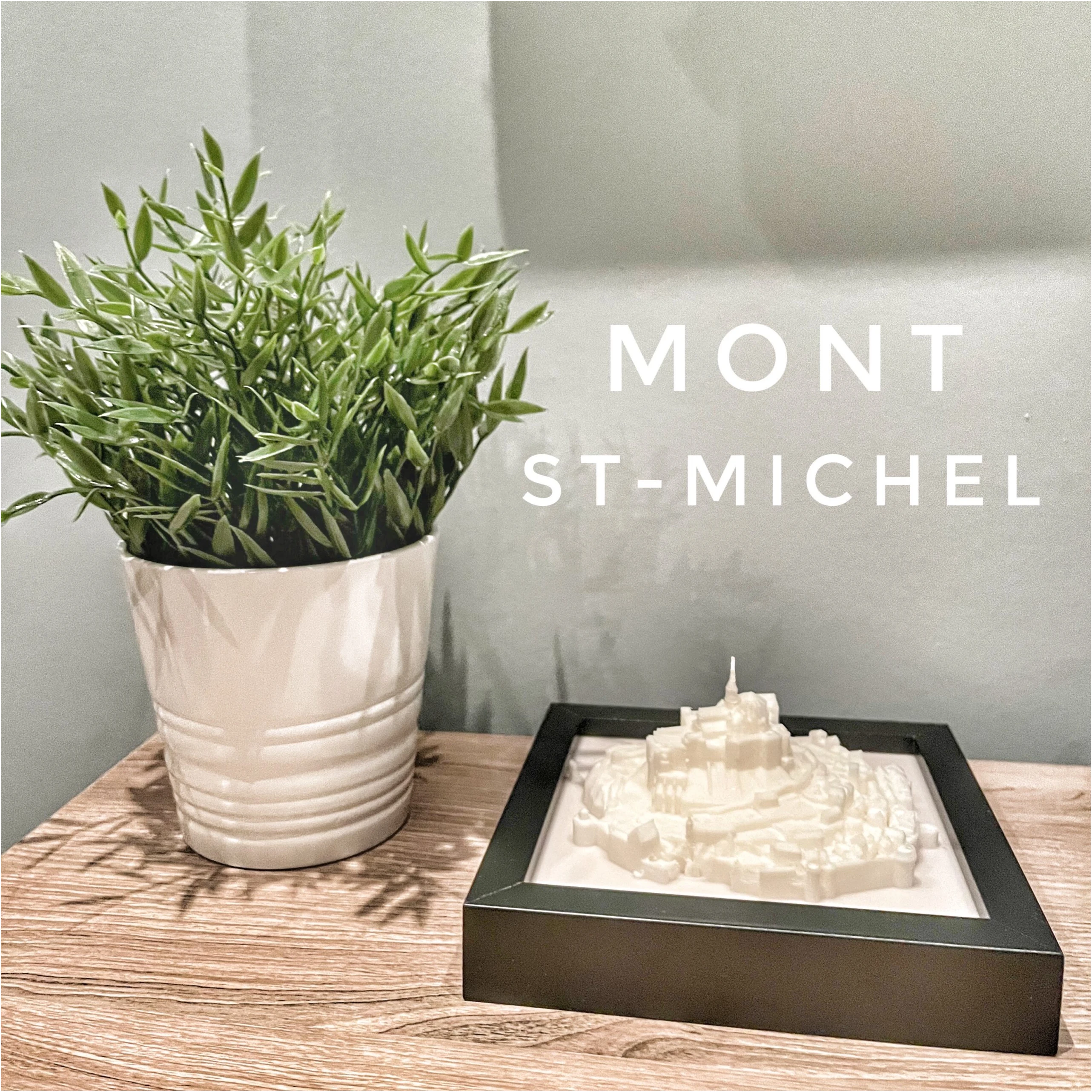 Cadre 3D Mont Saint Michel