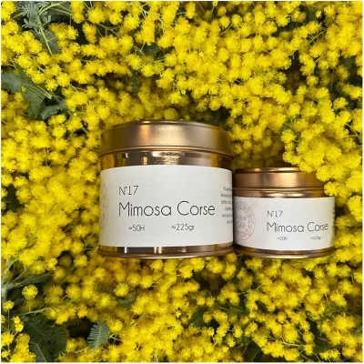 Bougie Mimosa Corse la fabrik de lili souvenirs 100% made in france idée cadeau déco