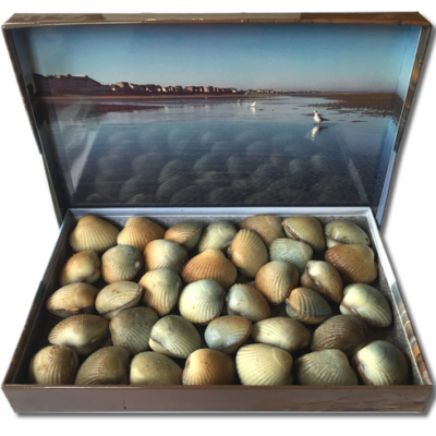 Les Coques de Cabourg - Le Coffret magique