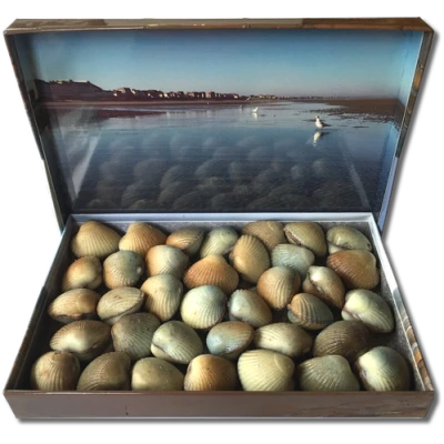 Les Coques de Cabourg - Le Coffret magique