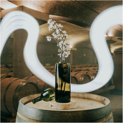 Vase bouteille de vin bordeaux châteaux idée cadeau oenologie