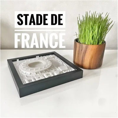 Cadre 3D Stade de France football rugby bleus Paris idée cadeau supporter collectionneur souvenirs france made in france