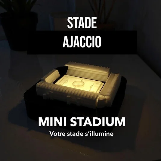mini stade Ajaccio Michel-Moretti Corse Wall Cities SOUVENIRS 100% Made in France