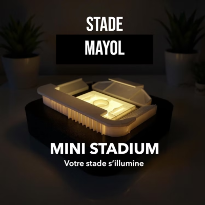 Mini stade lumineux stade rugby Mayol Toulon région Provence-Alpes-Côte d'Azur souvenirs 100% made in France idée cadeau supporter